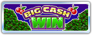 Big Cash Win