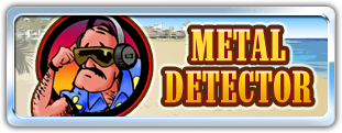 Metal Detector