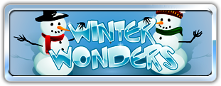 Winter Wonders